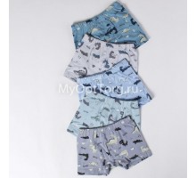 Боксеры для мальчика